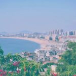 Xiamen: Dongshan Island Tour with Lunch and Guide - Who Is This Tour Best Suited For?