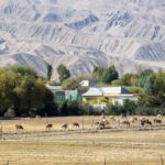 Xi'an: 12-Day Silk Road Tour to Kashgar - Transportation & Comfort