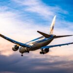 Xi'an Airport to Hotel: Private Transfer for up to 40 pax - Practical Tips for Booking and Using the Service