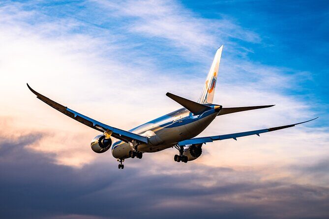 Xi'an Airport to Hotel: Private Transfer for up to 40 pax - Practical Tips for Booking and Using the Service