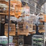 Xi'an Morning Walking and Foodie Tour - The Vibrant Muslim Quarter