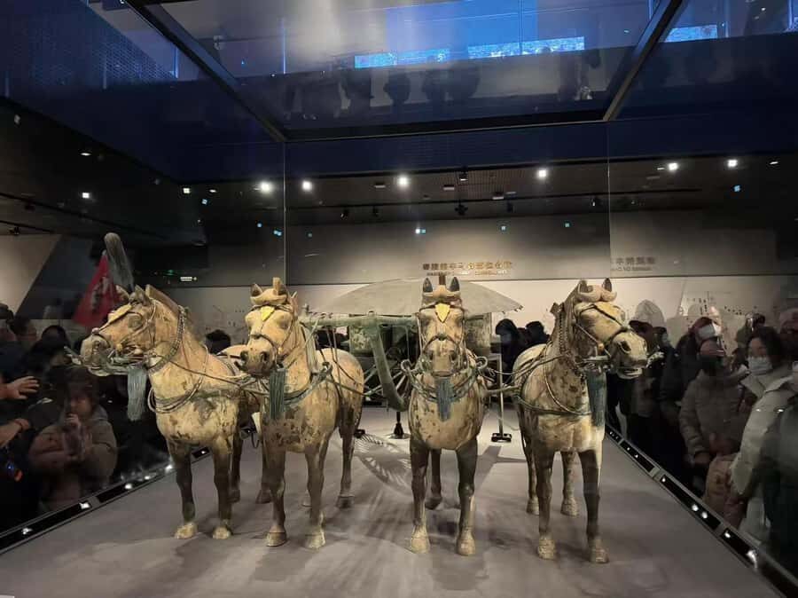 Xian Private Day Tour:Terracotta Warrior, City Wall& Pagoda - Who Should Consider This Tour?