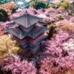 Xi'an: Private Terracotta Army & Huaqing Palace Day Tour - Who Is This Tour Best For?