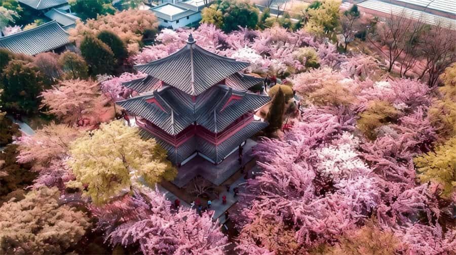 Xi'an: Private Terracotta Army & Huaqing Palace Day Tour - Who Is This Tour Best For?