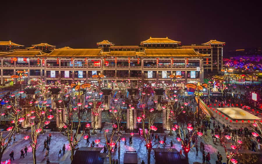 Xi'an: Terracotta Army,Big Wild Goose Pagoda,Tang Night City - Is This Tour Right for You?