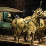 Xi'an: Terracotta Warriors and City Highlights Tour - Who Is This Tour Best For?