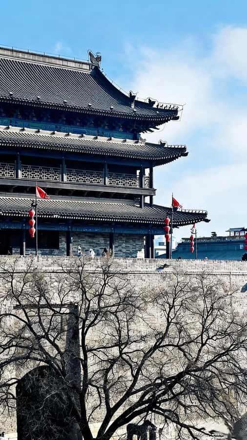 Xi'an: Terracotta Warriors Guided Tour with Transfers - Why Guided Tours Make a Difference