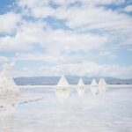 Xining: Qinghai Lake Private Tour with Hotel Pickup - Who Would Love This Tour?