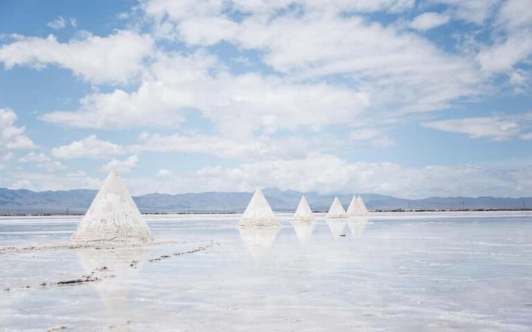 Xining: Qinghai Lake Private Tour with Hotel Pickup - Who Would Love This Tour?