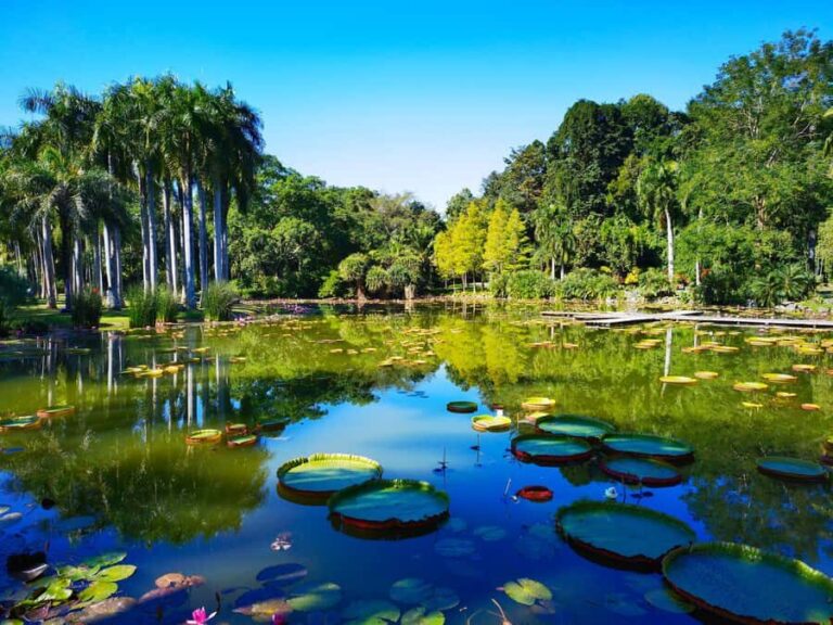 Xishuangbanna: 7-Day Dai Heritage & Botanical Wonders - Practical Insights & Highlights