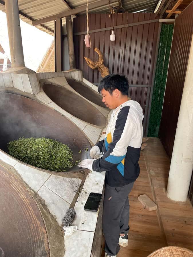 Xishuangbanna: Ancient Tea Forests and Modern Coffee Trails - Frequently Asked Questions