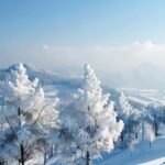Yabuli Ski Resort Ski Ticket in Harbin - An In-Depth Look at the Yabuli Ski Experience