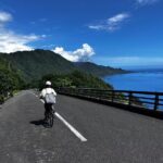 Yakushima Electric Bike Rentals - What Makes This Service Stand Out?