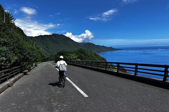 Yakushima Electric Bike Rentals