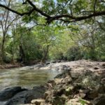 Yala: Bike and Tuk Tuk Tour with Wildlife and Temple Visit - Exploring the Itinerary and Highlights