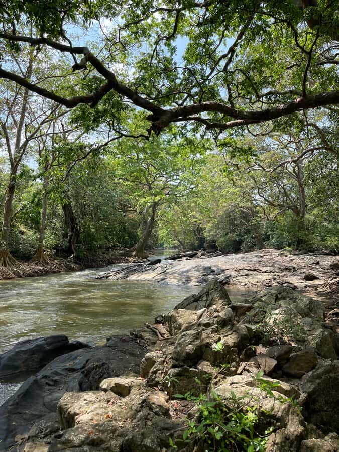 Yala: Bike and Tuk Tuk Tour with Wildlife and Temple Visit - Exploring the Itinerary and Highlights