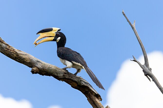 Yala National Park Private Tour with Fast Entry - The Itinerary in Detail