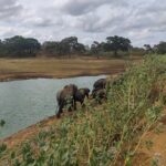 Yala National Park Safari from Hikkaduwa - What Could Be Improved