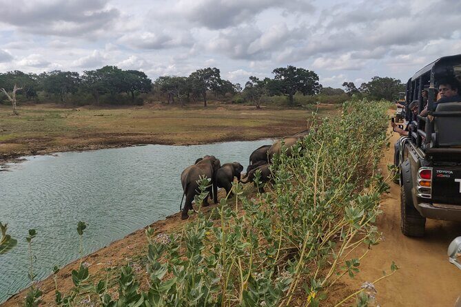 Yala National Park Safari from Hikkaduwa - What Could Be Improved
