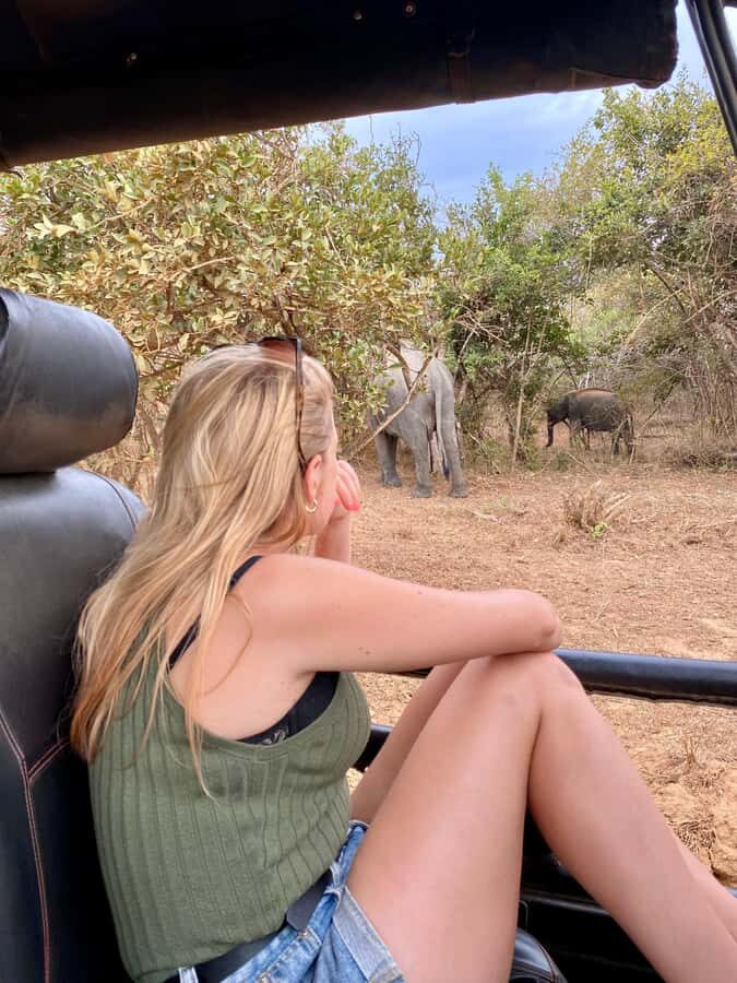 Yala National Park Safari Tours : Morning/Evening & Full-Day - What Makes Block 5 Special?