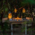 Yala: Stargazing Jungle BBQ Night - Analyzing the Value