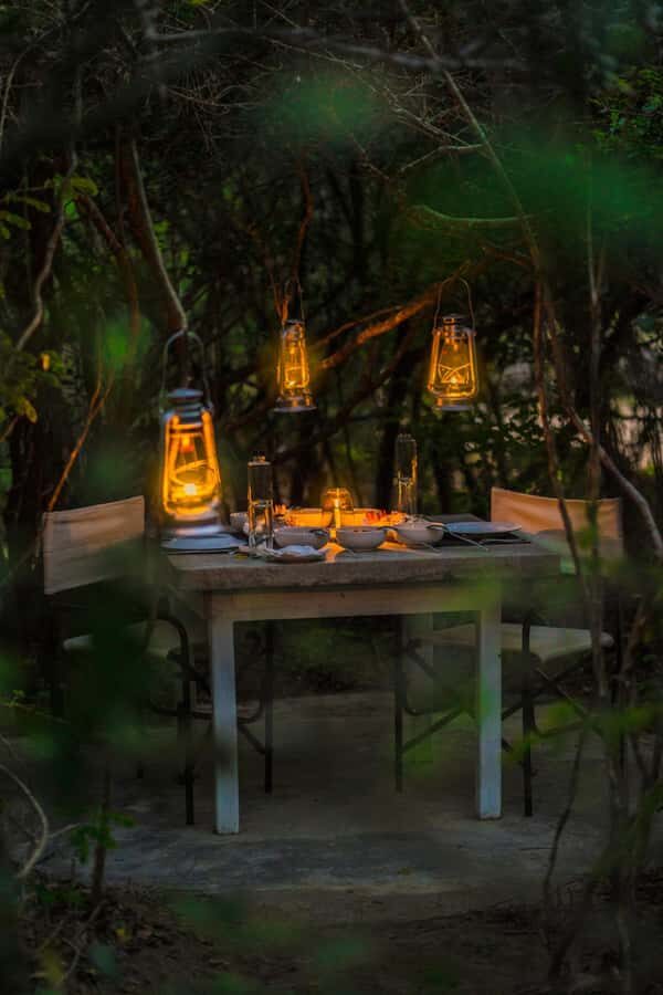 Yala: Stargazing Jungle BBQ Night - Analyzing the Value
