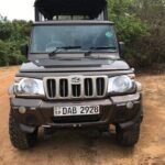 Yala sunrise half day by NPA Leopard Safari - A Deep Dive into the Yala Sunrise Safari Experience