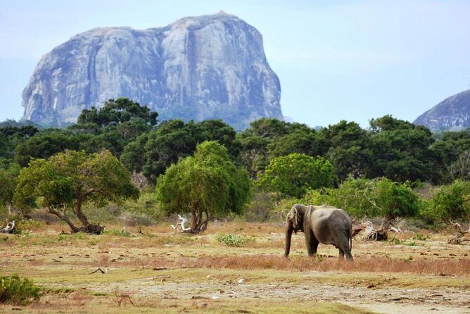 Yala Wild Adventure Safari - Who Should Consider This Tour?