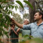 Yallingup: Ngilgi Cave Twilight Didgeridoo Cave Tour - The Journey into Ngilgi Cave: What to Expect