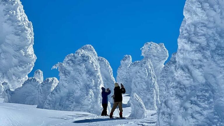 Yamagata: Ice Monster Snow Hiking with Local Guide - Key Points