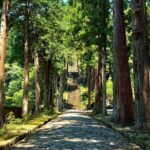 Yamanashi: Minobusan, Japans Sacred Mountain of Faith - The Experience from the Reviews