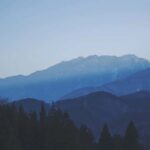 Yamanashi: Sake Brewery Tour with Tasting - Tasting the Fruits of the Labors