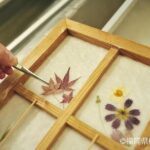 Yanagawa River Cruise and Yame Tea Fukuoka Private Tour - Transportation and Group Size: What Does It Mean for You?