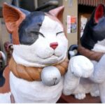 Yanaka & Ueno Tokyo's Old Town Charm - Temple, market,Retro Vibes - Authentic Experiences and Insights