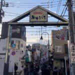 Yanaka's Hidden Flavors: Tokyo's Historic Gourmet District - Transportation, Timing, and Practical Details