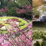 Yangmingshan & Beitou Geothermal Wonders Day Tour - The Value of the Tour