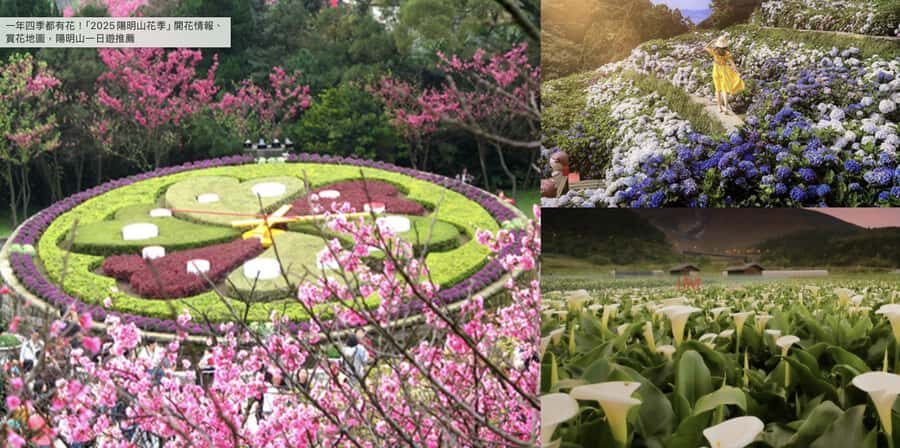 Yangmingshan & Beitou Geothermal Wonders Day Tour - The Value of the Tour