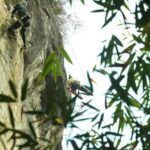 Yangshuo Nature and Adventure Escape - The Sum Up