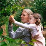 Yarra Valley: Orchard Tractor Tour with Fruit Tasting - The Itinerary Breakdown