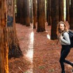 Yarra Valley | Redwoods, Wildlife, Wine, Chocolate - What Makes This Tour Stand Out?