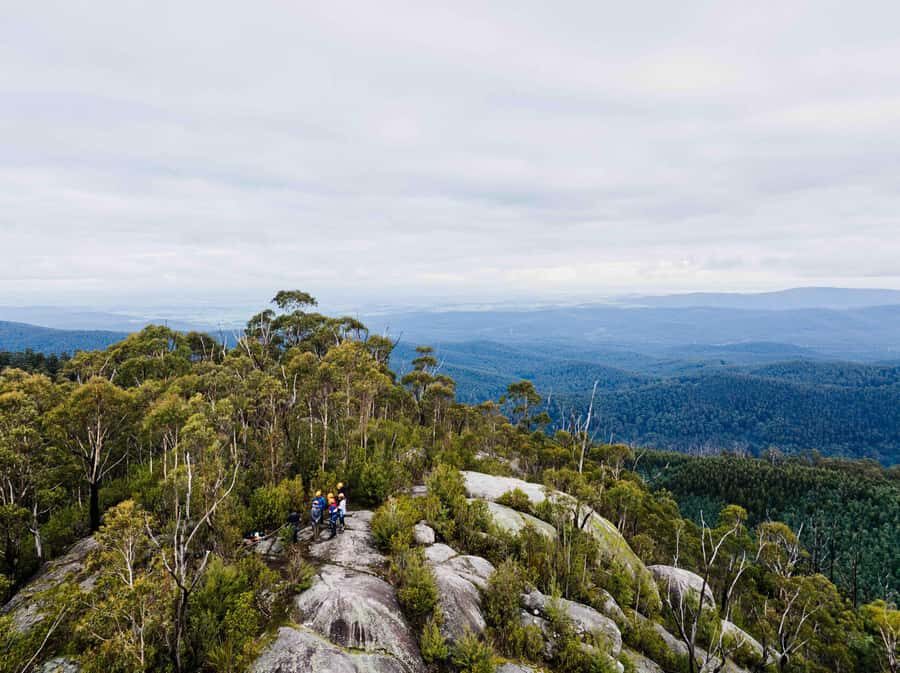 Yarra Valley: Seven Acre Rock Abseiling Adventure - The Abseiling Experience