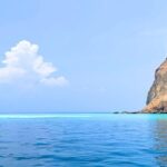 Yilan Day Tour Whale Watching Cruise and Animal Farm - What’s Included and What to Expect