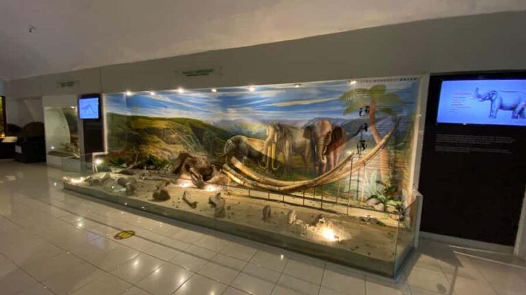 Yogyakarta: Ancient Human Museum & Exotic Sukuh Temple - Sangiran Museum: Walking Through Prehistory