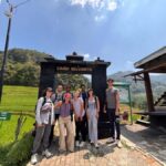 Yogyakarta: Borobudur Climb Up & Selogriyo Rice Terrace Tour - What to Expect at a Glance