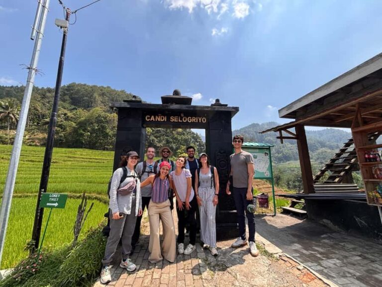 Yogyakarta: Borobudur Climb Up & Selogriyo Rice Terrace Tour - What to Expect at a Glance