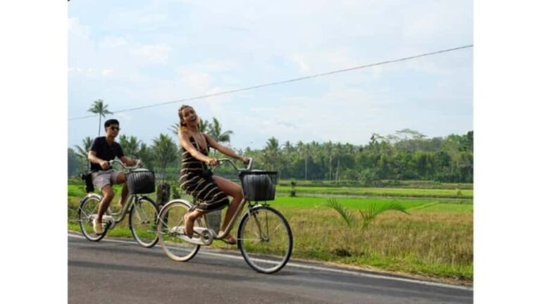 YOGYAKARTA; BOROBUDUR TEMPLE & CYCLING IN BOROBUDUR VILLAGE - An In-Depth Look at the Tour Experience