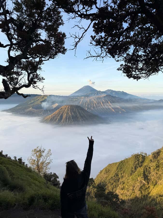 Yogyakarta: Bromo, Madakaripura, & Ijen Private Tour to Bali - An In-Depth Look at the Tour: What to Expect