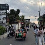 Yogyakarta: City Highlights with Pedicab and Guided Tours - Exploring Yogyakarta on a Pedicab: What to Expect