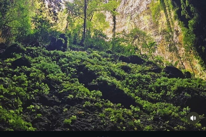 Yogyakarta Jomblang Cave and Pindul Cave Tour - What We Loved About the Tour