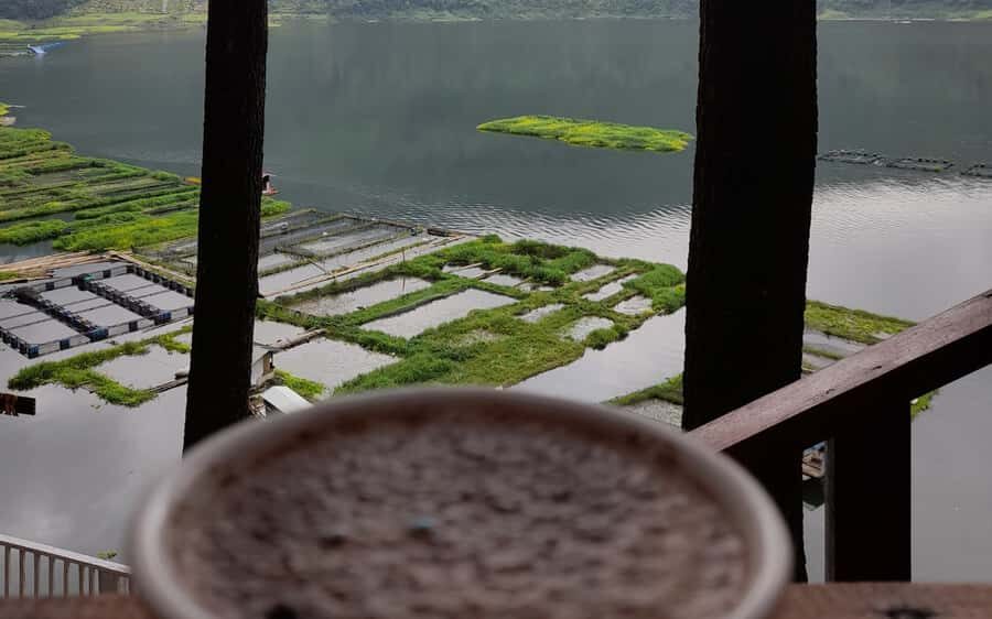 Yogyakarta: Menjer Lake Bamboo Boat Tour with Lunch - Introduction to the Menjer Lake Tour